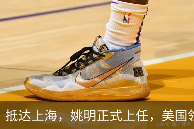 抵达上海，姚明正式上任，美国领事馆任命，亮相新岗位，薪酬曝光