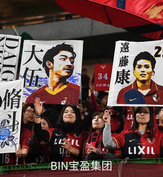 BIN宝盈集团简介